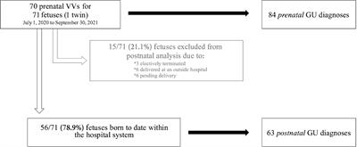 Evaluating the efficacy of virtual prenatal counseling for genitourinary anomalies